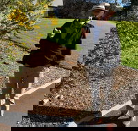 Private City Walking Tour - Accommodation Ballina