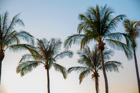 Darwin City Sightseeing Tour - Accommodation Ballina 0