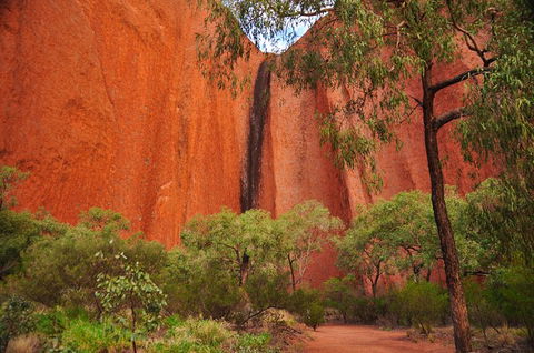 Uluru Sunrise And Guided Base Walk - Accommodation Ballina 3