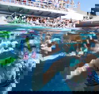 Great Barrier Reef Day Cruise from Cairns Including Snorkeling and Marine Biologist Presentation - Accommodation Ballina