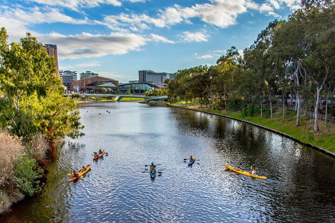 Adelaide City Kayak Tour - Accommodation Ballina 0