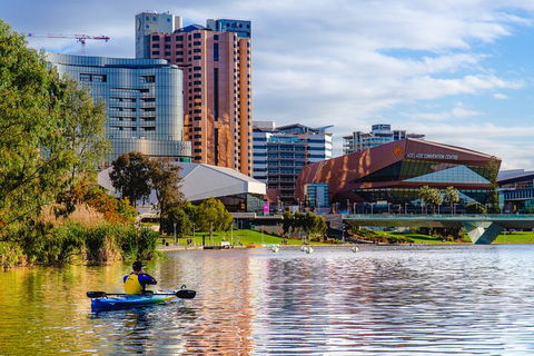Adelaide City Kayak Tour - Accommodation Ballina 3
