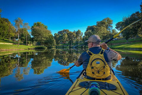 Adelaide City Kayak Tour - Accommodation Ballina 5