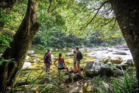 Private Daintree Mossman Gorge Exclusive Nature And Wildlife Focus - Accommodation Ballina 5