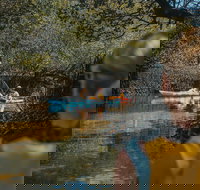 Kayak Tour in Adelaide Dolphin Sanctuary - Accommodation Ballina