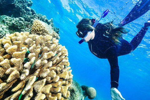 Green Island Day Trip From Cairns - Accommodation Ballina 1