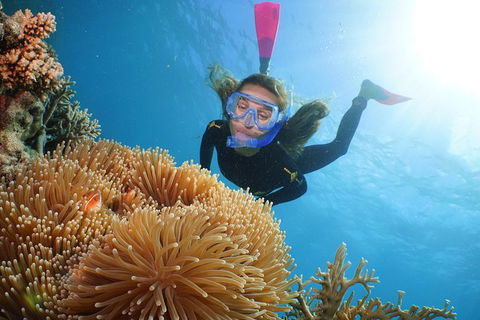 Quicksilver Outer Great Barrier Reef Snorkel Cruise From Port Douglas - Accommodation Ballina 2
