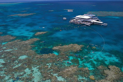 Quicksilver Outer Great Barrier Reef Snorkel Cruise From Port Douglas - Accommodation Ballina 3