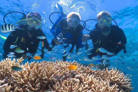 Quicksilver Outer Great Barrier Reef Snorkel Cruise From Port Douglas - Accommodation Ballina 4