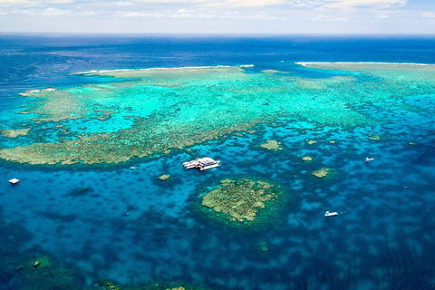 Quicksilver Outer Great Barrier Reef Snorkel Cruise From Port Douglas - Accommodation Ballina 5