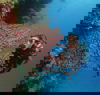 Silversonic Outer Great Barrier Reef Dive and Snorkel Cruise from Port Douglas - Accommodation Ballina