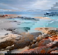 Wineglass Bay Private Charter Service - Accommodation Ballina