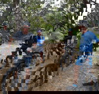 Fully guided E-Mountain Bike Tour on the beautiful Mornington Peninsula. - Accommodation Ballina