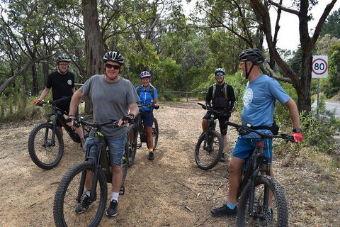 Fully Guided E-Mountain Bike Tour On The Beautiful Mornington Peninsula. - Accommodation Ballina 0