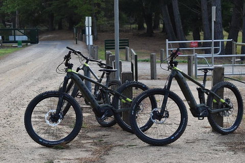 Fully Guided E-Mountain Bike Tour On The Beautiful Mornington Peninsula. - Accommodation Ballina 2