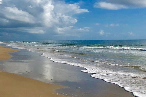 3 Nights 2 Full Days Private Guided Tour Of The Sunshine Coast And Hinterland - Accommodation Ballina 4