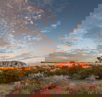 Uluru Kata Tjuta and Kings Canyon Camping Safari from Alice Springs - Accommodation Ballina