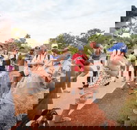 Uluru Kata Tjuta and Kings Canyon Camping Safari from Ayers Rock - Accommodation Ballina