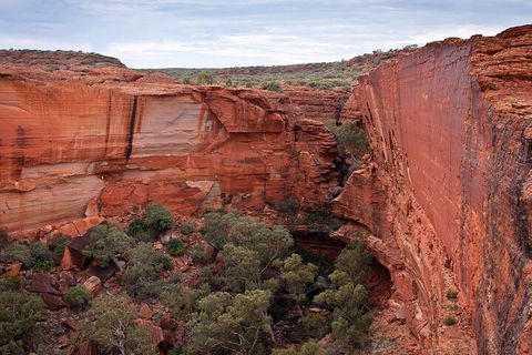 Uluru, Kata Tjuta And Kings Canyon Camping Safari From Ayers Rock - Accommodation Ballina 1