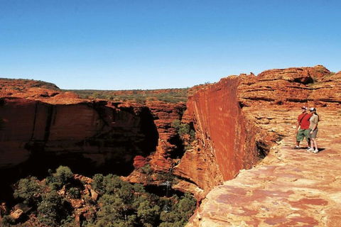 The Amazing Kings Canyon: 4-Hours Walking Tour And Hike - Accommodation Ballina 1