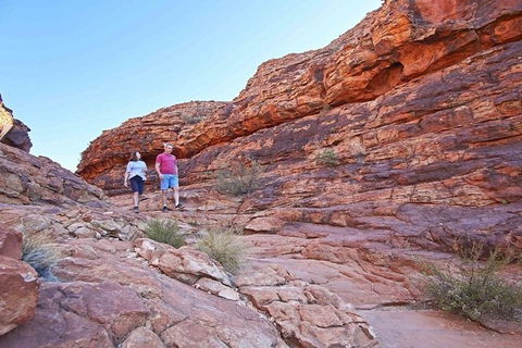 The Amazing Kings Canyon: 4-Hours Walking Tour And Hike - Accommodation Ballina 5