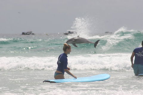 10-Day Surf Adventure From Sydney To Brisbane Including Coffs Harbour, Byron Bay And Gold Coast - Accommodation Ballina 0