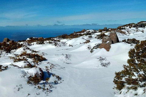 Mt Wellington Ultimate Experience Tour From Hobart - Accommodation Ballina 4