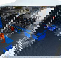 Silverswift Outer Great Barrier Reef Dive and Snorkel Cruise from Cairns - Accommodation Ballina