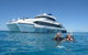 Silverswift Outer Great Barrier Reef Dive And Snorkel Cruise From Cairns - thumb 4