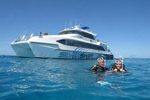 Silverswift Outer Great Barrier Reef Dive And Snorkel Cruise From Cairns - Accommodation Ballina 4