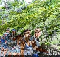 Cape Tribulation Mossman Gorge and Daintree Rainforest Day Trip from Cairns or Port Douglas - Accommodation Ballina