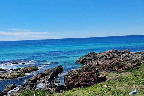 Private Custom Byron Bay Day Out - Accommodation Ballina 4