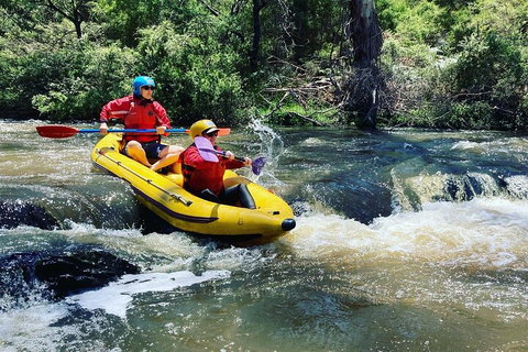 Yarra River Half-Day Rafting Experience - Accommodation Ballina 4