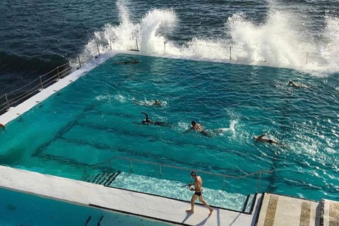 Sydney Private Tour And Sip And Sail Experience - Accommodation Ballina 3