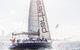 Sydney Private Tour And Sip And Sail Experience - thumb 4