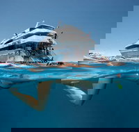 3 Day Great Barrier Reef Daintree Rainforest and Outback Chillagoe Tour - Accommodation Ballina