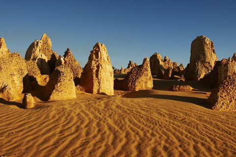 Full Day Pinnacle Desert Explorer From Perth Including Hillarys And Lancelin Sandboarding - Accommodation Ballina 3