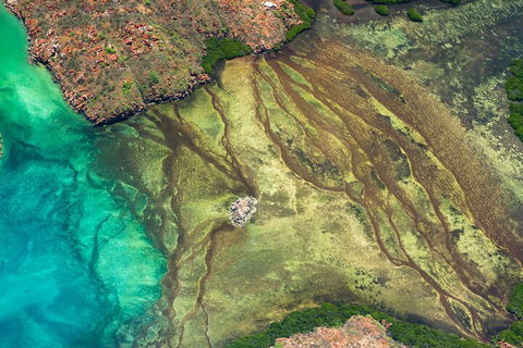 Fly The Falls Tour - Accommodation Ballina 0