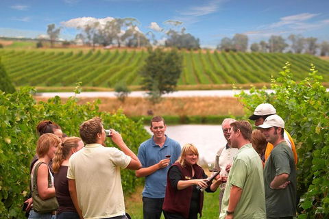 Yarra Valley Wine And Winery Tour From Melbourne - Accommodation Ballina 0