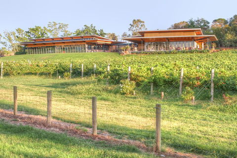 Yarra Valley Wine And Winery Tour From Melbourne - Accommodation Ballina 1