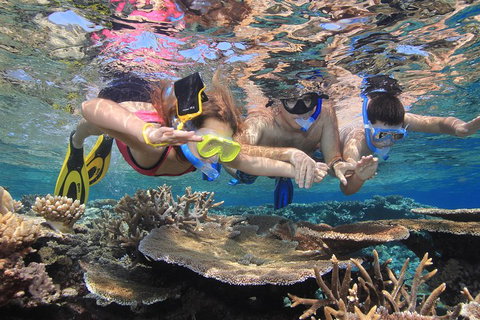 Calypso Outer Great Barrier Reef Cruise From Port Douglas - Accommodation Ballina 3