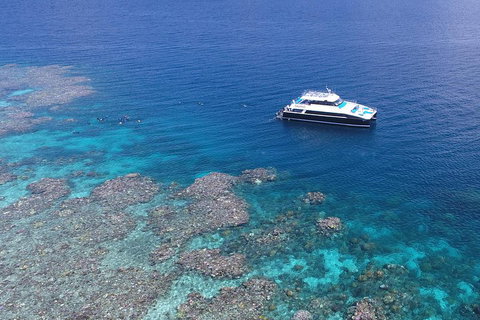 Calypso Outer Great Barrier Reef Cruise From Port Douglas - Accommodation Ballina 4