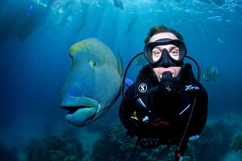 Full Day Reef Cruise Including 10 Minute Heli Scenic Flight: Get High Package - Accommodation Ballina 1