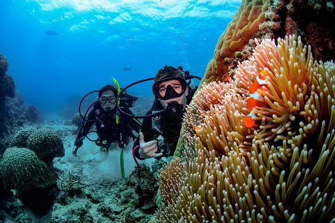 Full Day Reef Cruise Including 10 Minute Heli Scenic Flight: Get High Package - Accommodation Ballina 5