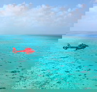 Port Douglas Scenic Flights - Accommodation Ballina