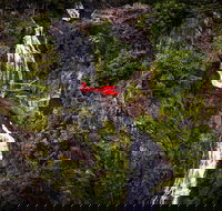 Ultimate Great Barrier Reef and Rainforest 45-minute Helicopter Tour - Accommodation Ballina