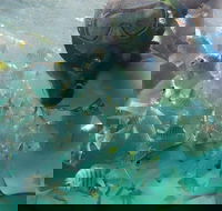 2-Day Moreton Island 4WD Camping Tour from Brisbane - Accommodation Ballina