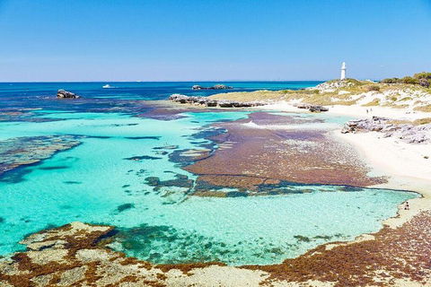 Rottnest Island All-Inclusive Grand Island Tour From Fremantle - Accommodation Ballina 1