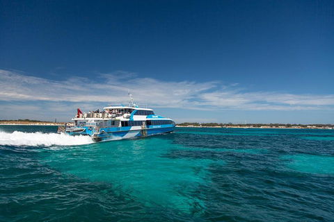Rottnest Island All-Inclusive Grand Island Tour From Fremantle - Accommodation Ballina 3