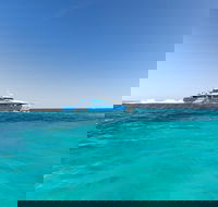 Rottnest Island Bike  Ferry Package from Fremantle - Accommodation Ballina